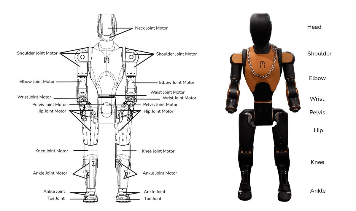 Asimov V1 de cuerpo completo en la imagen compartida por la compañía en X
