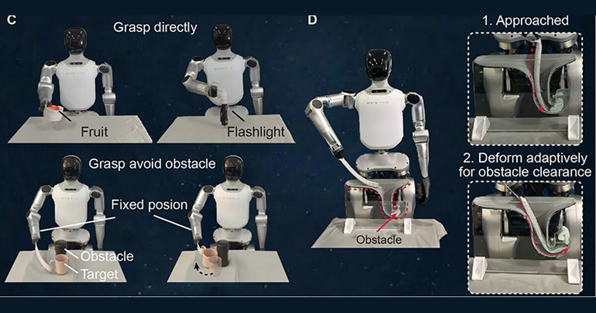 BioflexBot simplifica la mano robótica con dos entradas