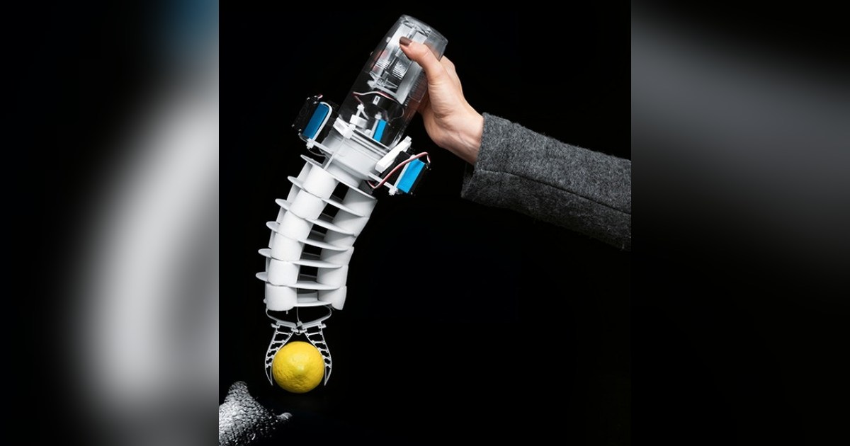 Bionic Handling Assistant completo, sostenido con una mano y sujetando una pelota junto a la trompa de un elefante.