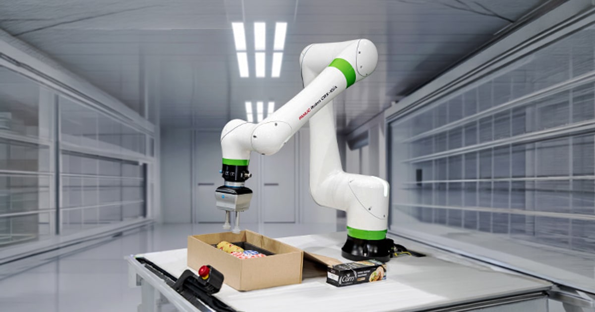 CMES, FANUC y PAC cierran el picking con embolsado robotizado