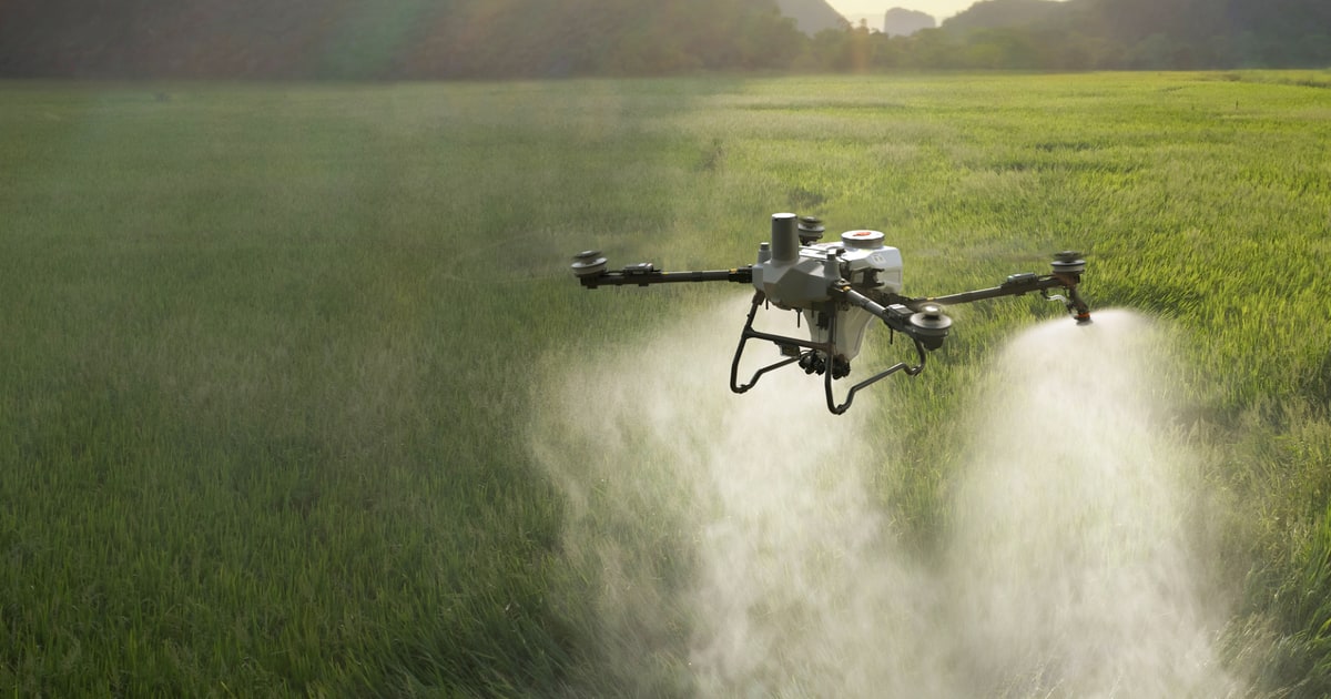 DJI lleva Agras T55 y T100 a la pulverización agrícola