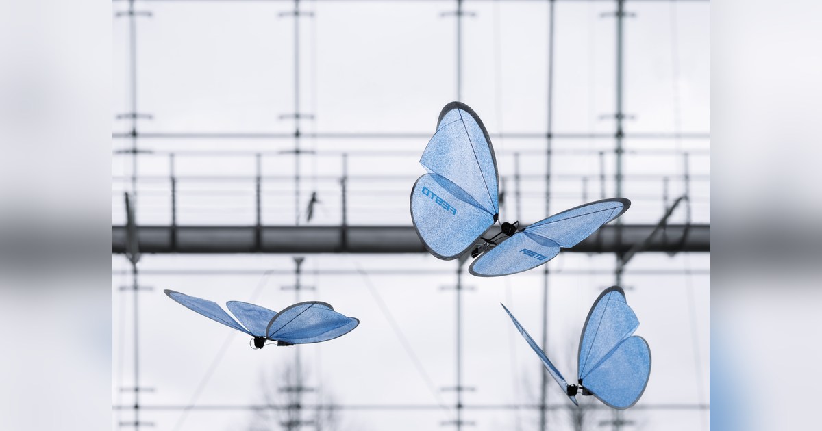 Tres eMotionButterflies de Festo con las alas azules desplegadas en una instalación de vuelo.
