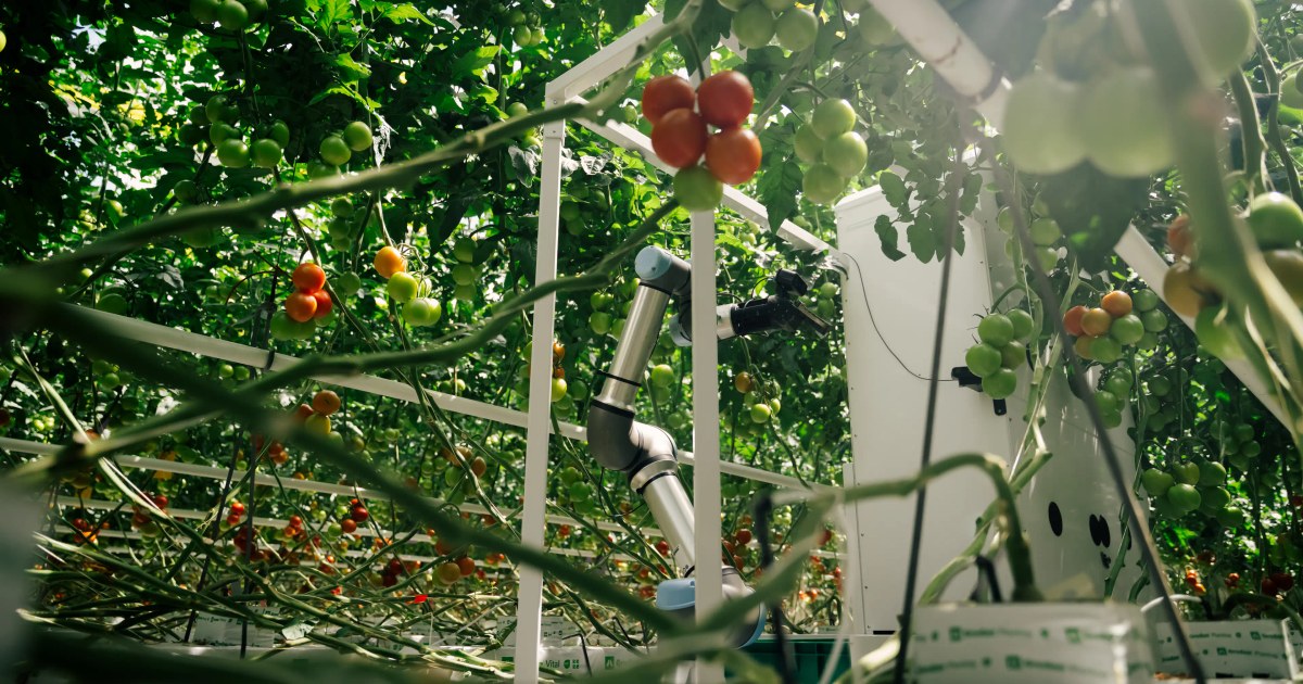 Eternal.ag lleva su Harvester a un invernadero comercial