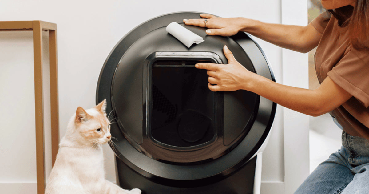 Una persona limpia con un paño el interior de un Litter-Robot 4 negro mientras un gato permanece junto a la entrada; fotografía oficial de Whisker.
