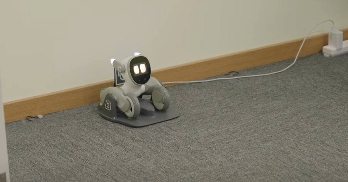 Fotografía oficial de Loona Petbot sobre su base de carga, en una habitación con moqueta gris; el cable llega a una toma junto a la pared.