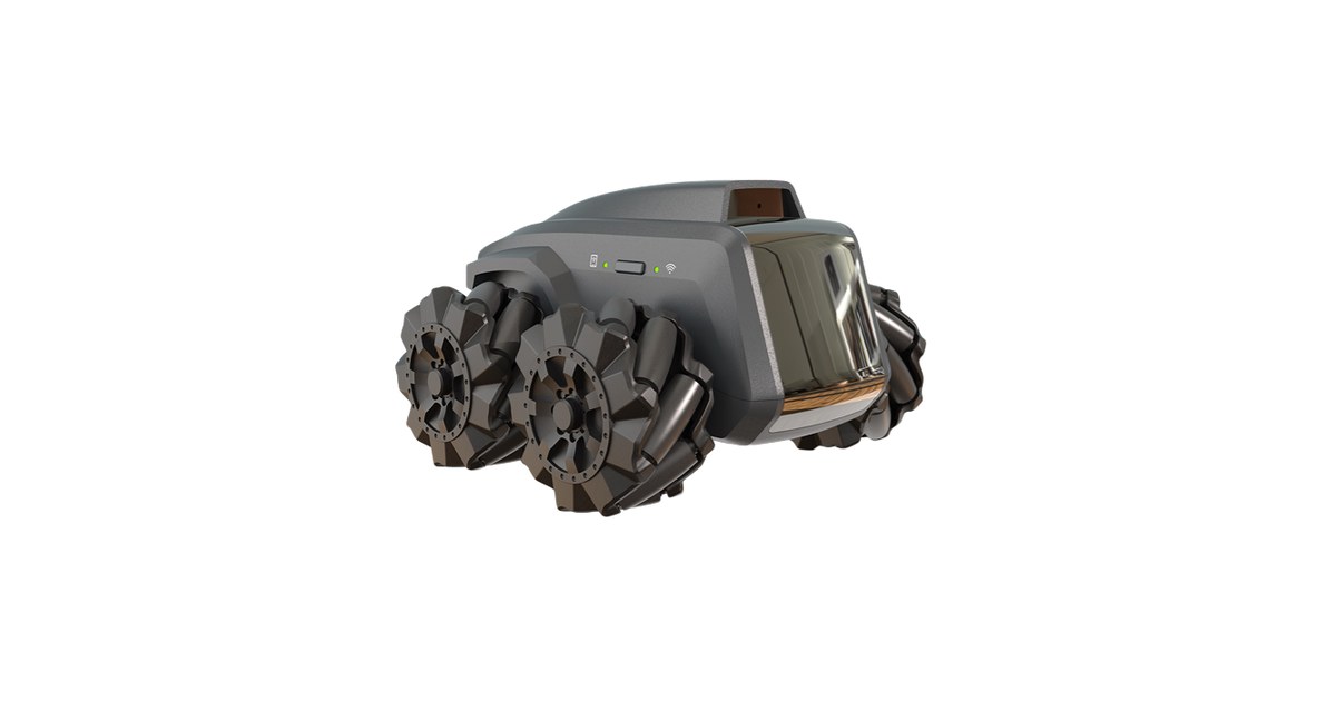 Scout de Moorebot