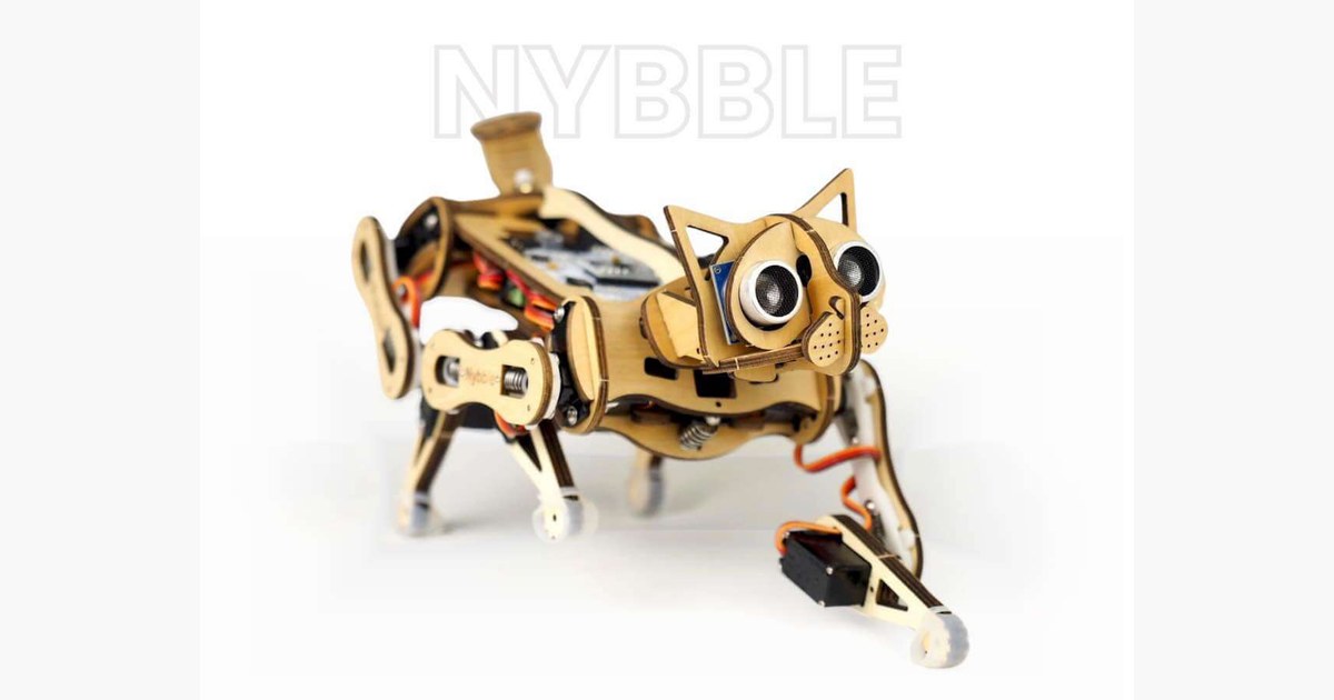 Nybble de Petoi.