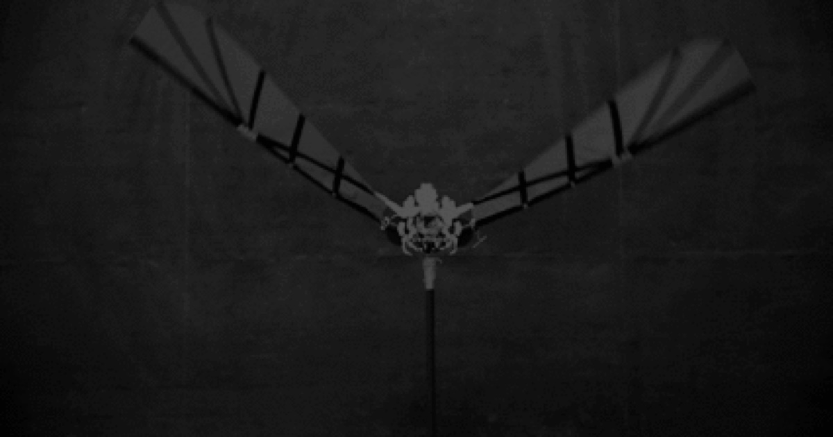 Ornadyne esconde drones de vigilancia bajo vuelo de ave