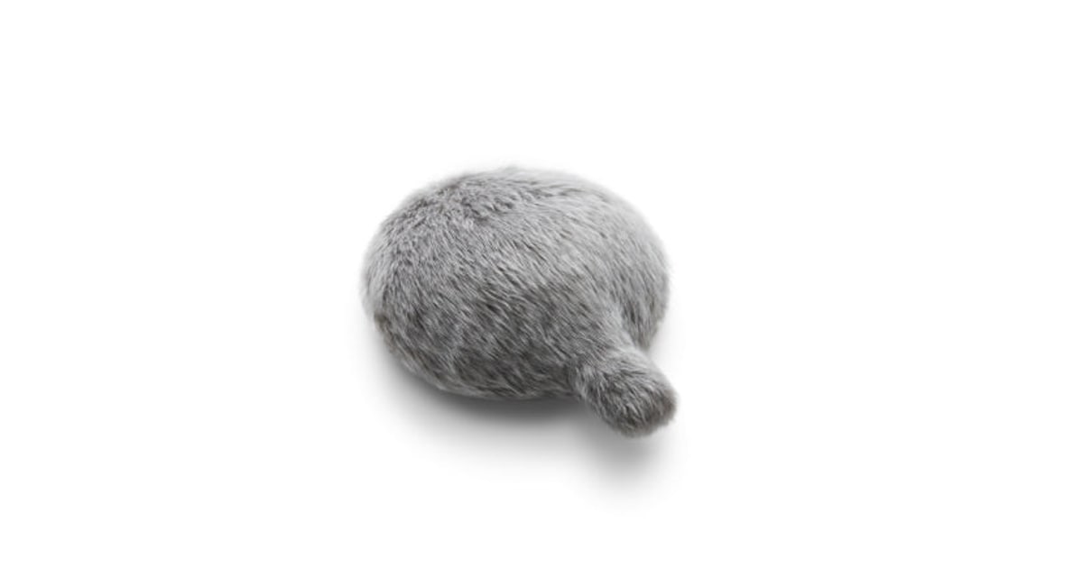 Petit Qoobo gris con su cubierta de pelo y cola robótica.