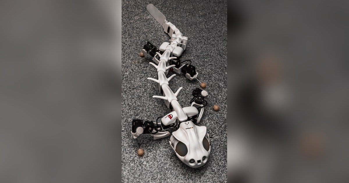 Fotografía de Pleurobot publicada por EPFL BioRob.
