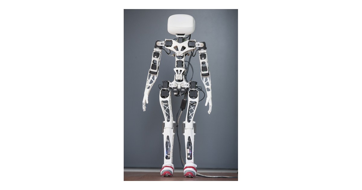Poppy Humanoid blanco con piezas impresas en 3D y articulaciones visibles