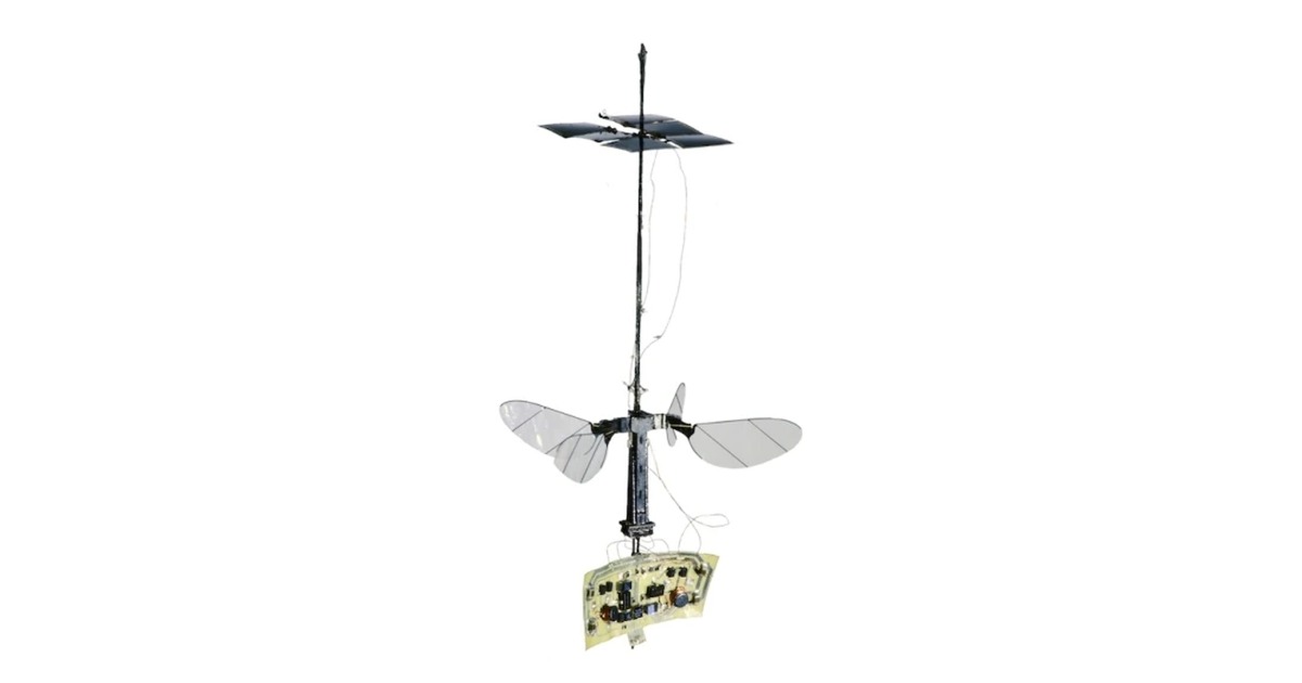 Fotografía de RoboBee X-Wing publicada por Harvard Microrobotics Lab.