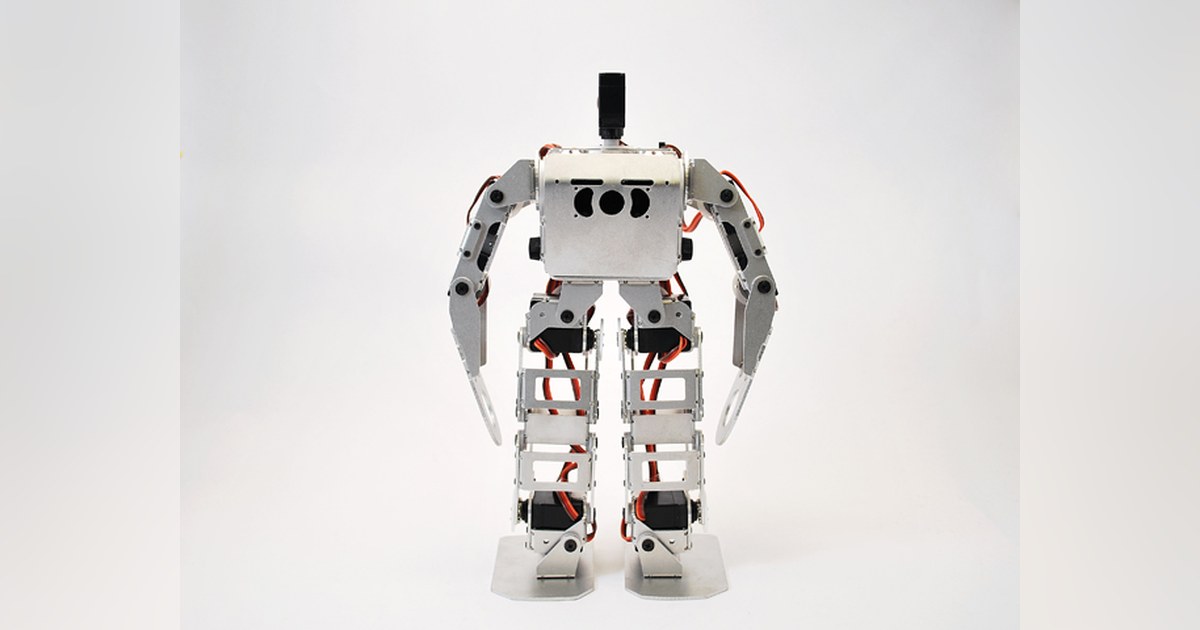 Robovie-nano de Vstone