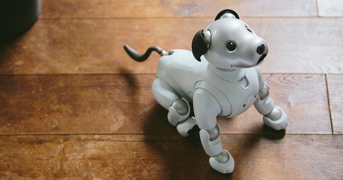 Fotografía oficial de Sony aibo ERS-1000 sentado sobre un suelo de madera, mirando hacia arriba, con la cámara frontal visible en la nariz.