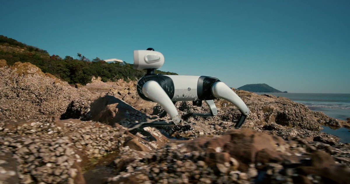 Vbot abre reservas europeas para su perro robot SuperDog