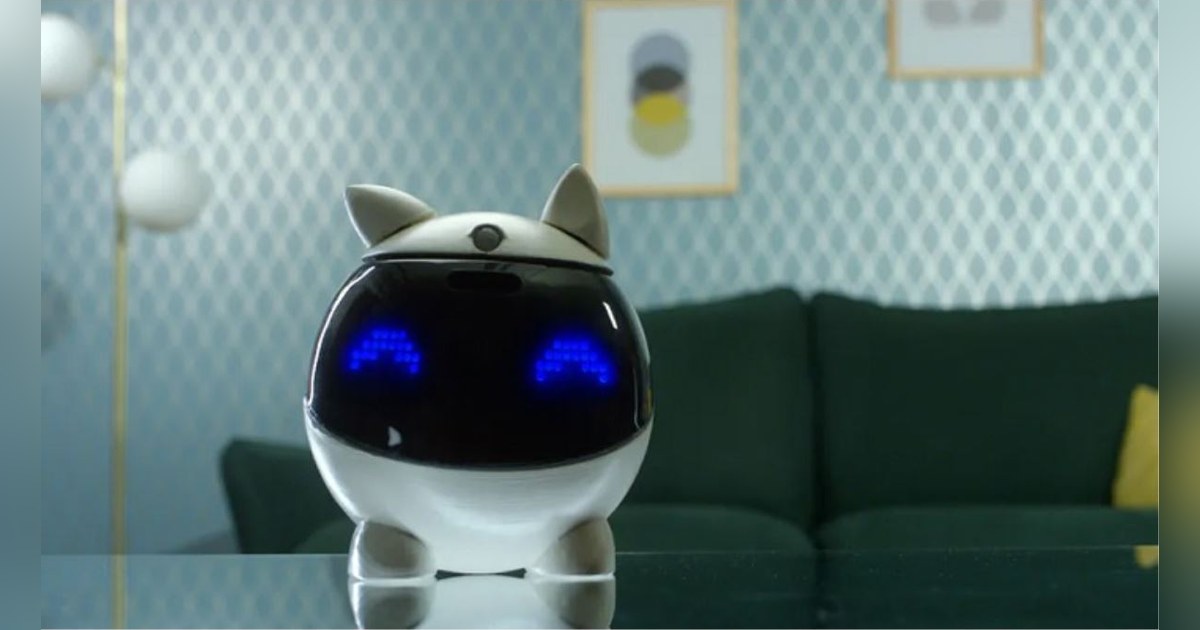 Winky de Mainbot