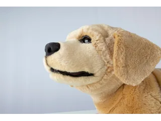 Cachorro robótico Jennie de Tombot con pelaje claro y orejas caídas