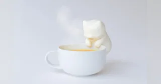 Nékojita FuFu de Yukai Engineering
