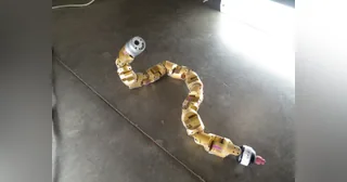 Robot serpiente CMU, de Carnegie Mellon University.