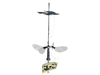 Fotografía de RoboBee X-Wing publicada por Harvard Microrobotics Lab.