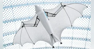 Imagen oficial del demostrador BionicFlyingFox publicada por Festo.