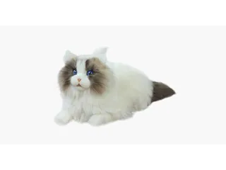 Imagen oficial del gato robótico metaCat con pelaje artificial.