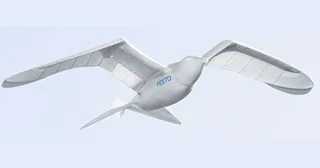 SmartBird de Festo completo, con ambas alas extendidas en vuelo.