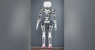 Poppy Humanoid blanco con piezas impresas en 3D y articulaciones visibles
