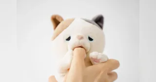 AMAGAMI HAM HAM de Yukai Engineering