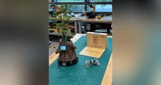 Fotografía de Hongfeng Yu de Forest Fairy completo, con una planta de chile, pantalla frontal y base de tres ruedas, junto a su estación y mando.
