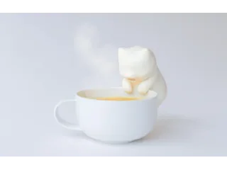 Nékojita FuFu de Yukai Engineering