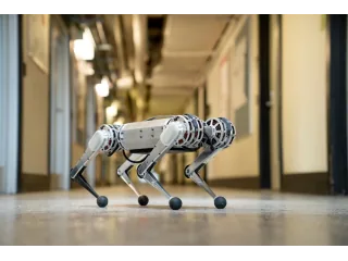 Fotografía de MIT Mini Cheetah publicada por MIT Biomimetic Robotics Lab.