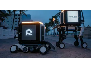 R-dog, de Robot.com