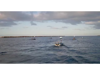 Lightfish, de Seasats