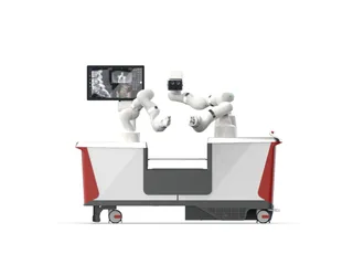 Dynamis de LEM Surgical