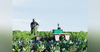 Plataforma Amiga verde en un cultivo, junto a una persona que trabaja en el campo.