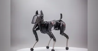 Fotografía oficial de HENGBOT Sirius de cuerpo completo, de pie sobre una mesa.