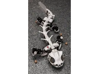 Fotografía de Pleurobot publicada por EPFL BioRob.