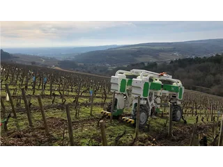 Robot agrícola Naïo TED verde y blanco trabajando entre hileras de viña