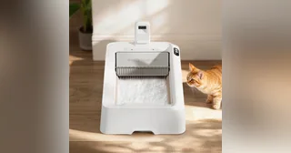 Imagen oficial de PETKIT Purobot Crystal Duo completo con su rastrillo y cámara, junto a un gato.
