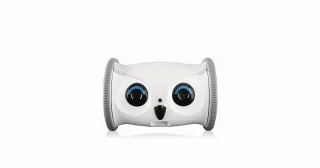 Owl Robot de Skymee