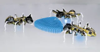 Tres BionicANTs completos alrededor de un objeto azul en una demostración de cooperación publicada por Festo.