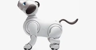 Render oficial del aibo ERS-1000 blanco de Sony, con ojos azules y cola curvada.