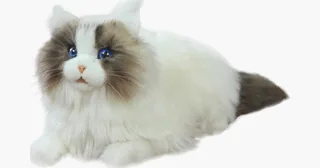 Imagen oficial del gato robótico metaCat con pelaje artificial.