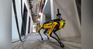 Spot, de Boston Dynamics
