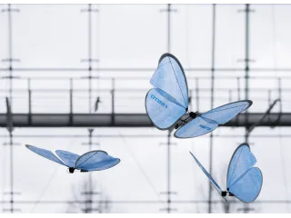 Tres eMotionButterflies de Festo con las alas azules desplegadas en una instalación de vuelo.