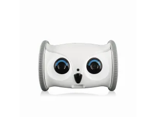 Owl Robot de Skymee