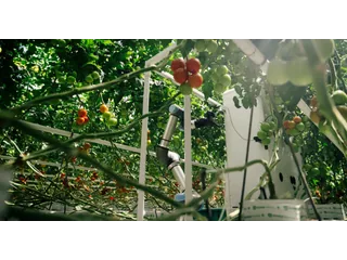 Harvester, de Eternal.ag