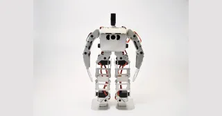 Robovie-nano de Vstone