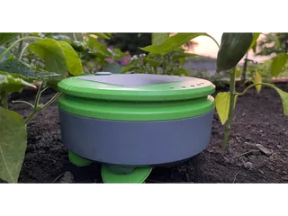 Tertill verde completo en la tierra de un huerto, junto a una planta de pimiento.